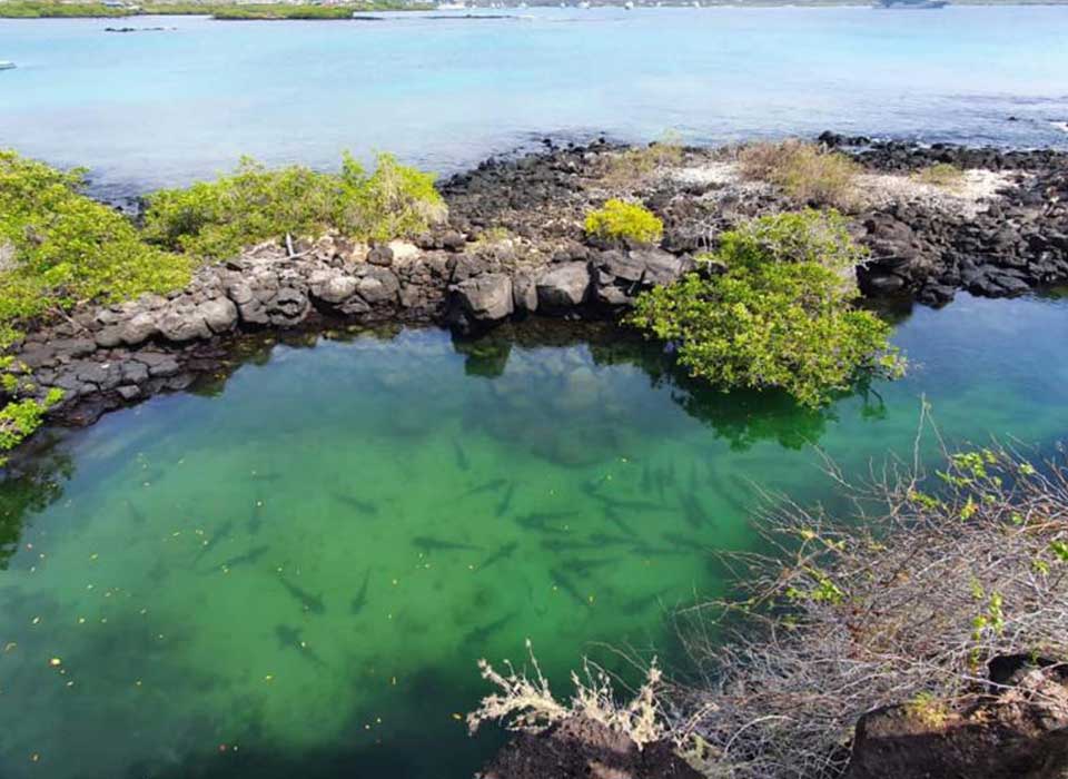 galapagos tour de bahia